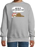 Bellatio Decorations Shoppartners Luiaard Kersttrui sweater - Wake me up when christmas is over - grijs - voor kinderen - Kerstkleding - Dieren 152/164