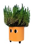 Fisura - Decoratieve plantenbak met ogen. Originele bloempot voor binnen. Pot met pootjes voor cactus. Keramische bloempot. Afmetingen: 13 x 12,5 cm. (Oranje)