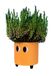 Fisura - Decoratieve plantenbak met ogen. Originele bloempot voor binnen. Pot met pootjes voor cactus. Keramische bloempot. Afmetingen: 13 x 12,5 cm. (Oranje)