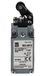 RS PRO Eindschakelaar, rolhendel, DPST, sluiten/opener, IP 66, zinklegering, aansluitkabel 10A