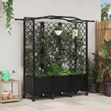 VidaXL Verhoogd bed met trellis en dak zwart 163 x 40 x 144 cm pp