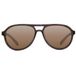 Korda Sonnenbrille Aviator | Schildpatt Rahmen / Braune Linse