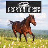 Arabian Bol Horse Farm- Arabian Horses