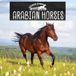 Arabian Bol Horse Farm- Arabian Horses