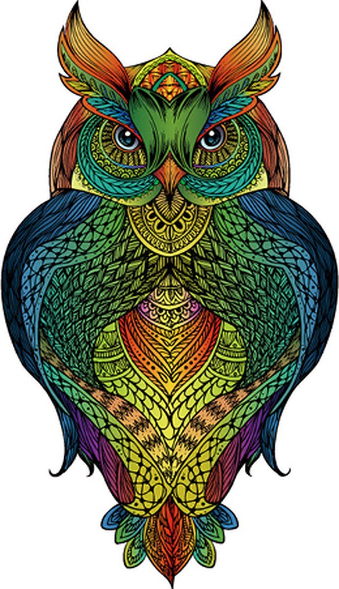 Eureka Rainbow Wooden Puzzle Owl