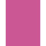 Clairefontaine 384587C - Pakket van 25 Vellen Geschilderd 60x80cm Fuchsia