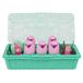 Spin Master Hatchimals CollEGGtibles Rainbow-cation - Family Carton met lamafamilie verrassingsspeelset