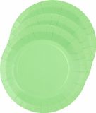 Santex Bordjes karton - 10x - rond - mintgroen - 22 cm - feestbordjes