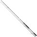 Daiwa Prorex E Light Game I Canne à pêche 1.98 m / 2-8 g Argent