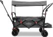 FUXTEC FUXLIFE by FUXTEC CTB800 Strand Bolderkar - Beach Handkar - Grijs