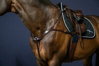 Dy'on Anatomisch Borsttuig - Bruin - Full - Leer - Paard