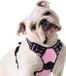 Markenlos Luxe Hondentuigje – Honden Tuigje – Hondenharnas – dog harness – duurzaam
