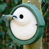 CJ Wildlife Nestkast - Alicante - Groen