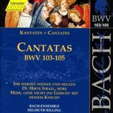 Outhere Hänssler Classic J.S. Bach: Cantatas Bwv 103-105 (CD)