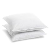 Bleu Câlin Set van 2 Greencare Ultra bedwantsen- en mijtbestendige kussens 60x60cm