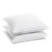 Bleu Câlin Set van 2 Greencare Ultra bedwantsen- en mijtbestendige kussens 60x60cm