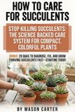 How Bol How to Care For Succulents: Light and soak-and-dry watering, soil ratios, propagation checklists, and cactus and succulents care fixes for rot, pests, and dormancy, for easy care succulents.