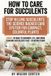 How Bol How to Care For Succulents: Light and soak-and-dry watering, soil ratios, propagation checklists, and cactus and succulents care fixes for rot, pests, and dormancy, for easy care succulents.