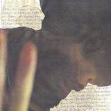 PIAS Nederland Dads - Brown On Brown (2 LP)