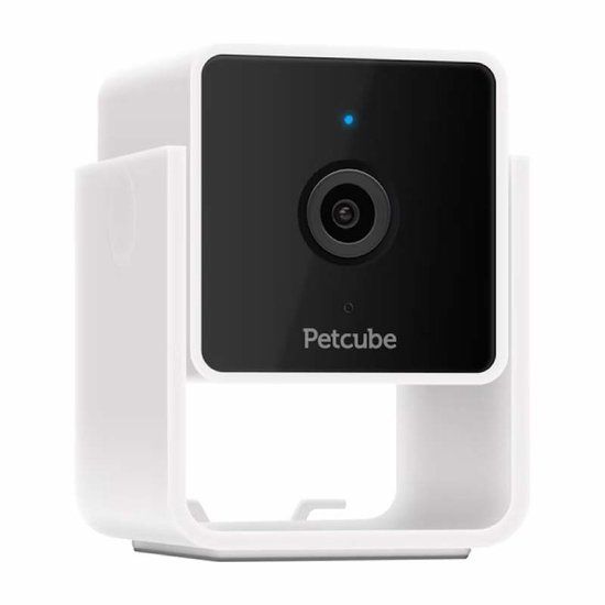 Petcube Cam - Zwart