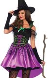 Leg Avenue Spiderweb Witch