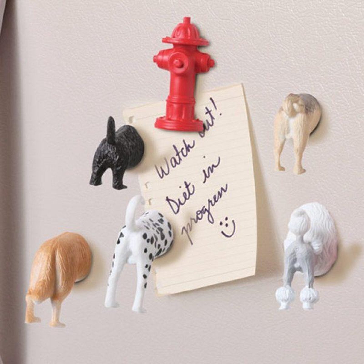 Kikkerland DOG BUTT MAGNETS SET OF 6