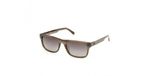 Timberland Lunettes de Soleil TB00098 Green horn 56/18/145 Homme