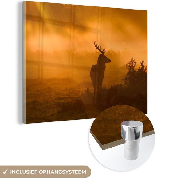 MuchoWow® Glass Painting 40x30 cm - Acrylic Glass Painting - Silhouette of a Deer with Sunbeams - Photo on Glass - Paintings