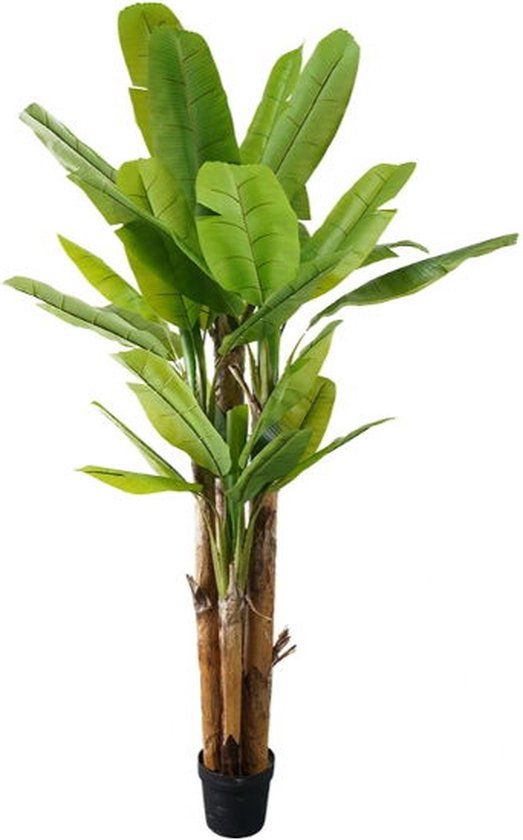 Buitengewoon Boet Kunstplant Bananenplant - 300 cm