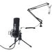 Devine Game microphone bundle