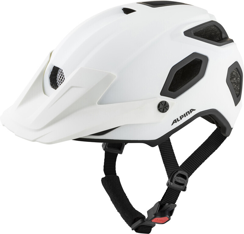 Alpina Comox Helmet, white matt