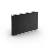 Bang &amp; Olufsen Beosound Level