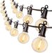 Home & Marker Yardbulbs Lichtsnoer Buiten 50 Lampjes Glas Wit Licht Zwart Snoer IP44