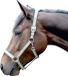 HKM Halster -Zurich- zacht onderlegd olijfgroen/ivoor Pony
