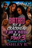 Birthed By A Crackhead Groomed By A Pimp 3 Paperback