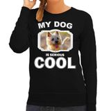 Bellatio Decorations Cairn terrier honden trui / sweater my dog is serious cool zwart - dames - Cairn terriers liefhebber cadeau sweaters XXL