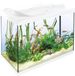 Tetra StarterLine LED 80L aquarium wit