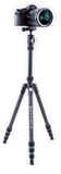 Vanguard VESTA TB 204CB Carbon statief