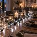 50 LED-guirlande lumineuse, couleur : blanc froid, pour usage intérieur, sur piles