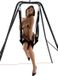 Hidden Desire Lovers Swing With Stand