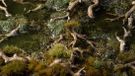 Gamers Grass Gnarled Branches Résine Accessoires pour modélisme
