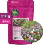MRS Seeds & Mixtures MR Seeds Wildbloemenmengsel - Eén- & meerjarige bloemzaden – Wilde bloemen - 45 bloemsoorten – 250 gram - Voor 125 m² – Aantrekkelijk voor vlinders en bijen