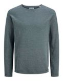 JACK & JONES JJEHILL KNIT CREW NECK NOOS - Heren - Pullover
