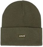 Levi's Lan Tonal Embroidered Junior Beanie Groen Kinderen
