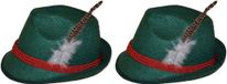 Merkloos 2x Groene Tiroler hoedjes verkleedaccessoires voor volwassenen - Oktoberfest/bierfeest feesthoeden - Alpenhoedje/jagershoedje