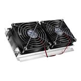 elektrische Panda elektrische koeler Peltier-koelsysteem halfgeleiderkoeling TEC1-12706 met twee kernen 120W