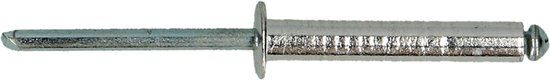 pgb-Europe PGB-FASTENERS Blindklinknagel DIN 7337A Ø 6,4x26 St/St | 250 st