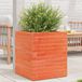 Maison Exclusive - Pot de fleurs pour le jardin, brun foncé, 40x40x46 cm, bois de pin massif