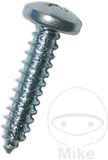 BLECHR Vis tôle 4.8X16 7981 Emballage galvanisé 100 pièces