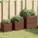 Maison Exclusive - Jardinière, 3 pièces, marron, polyrotin